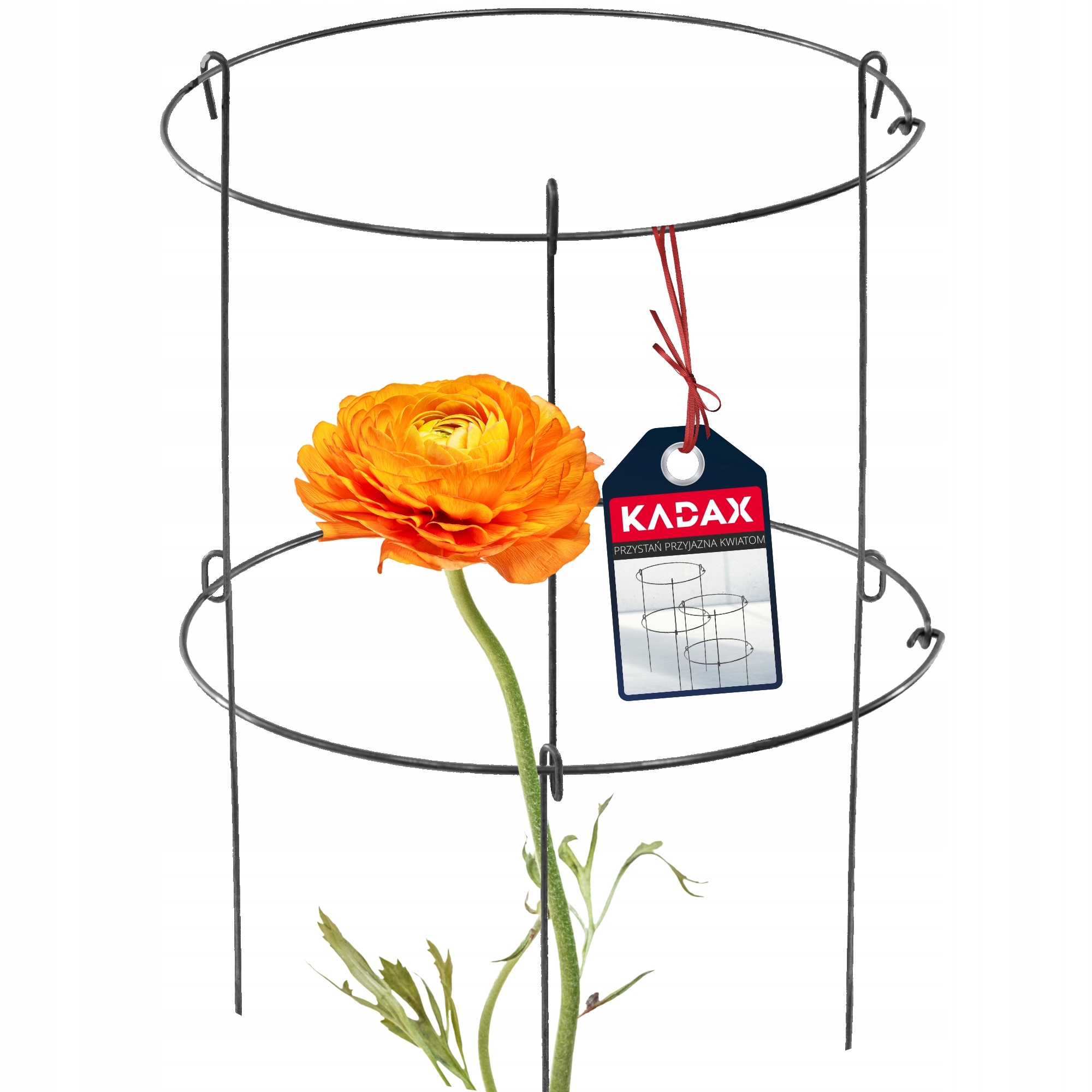 Podpora pre rastliny na kvety Roses Steel 60 cm