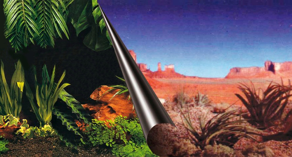 

Ebi Tło Dwustronne JungleDesert 80x40cm Fototapeta