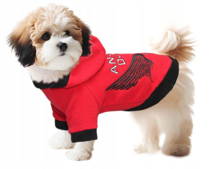 Levně Obleček pro psa mikina pro york maltipoo čivava špice miniatura