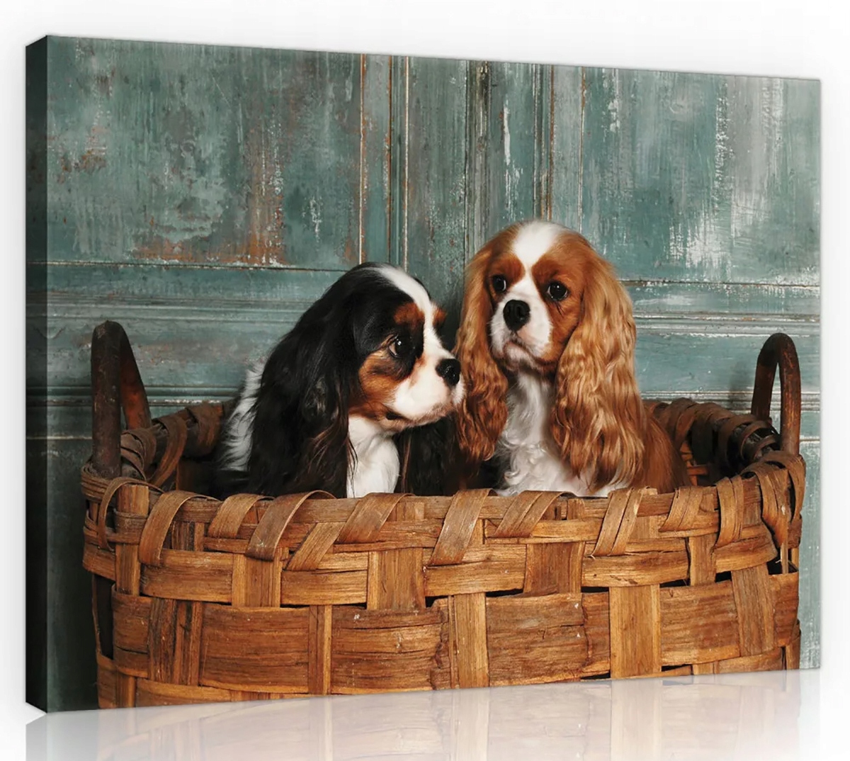 Obraz Na Plátně Canvas 100x75 Pes Psi Španěl