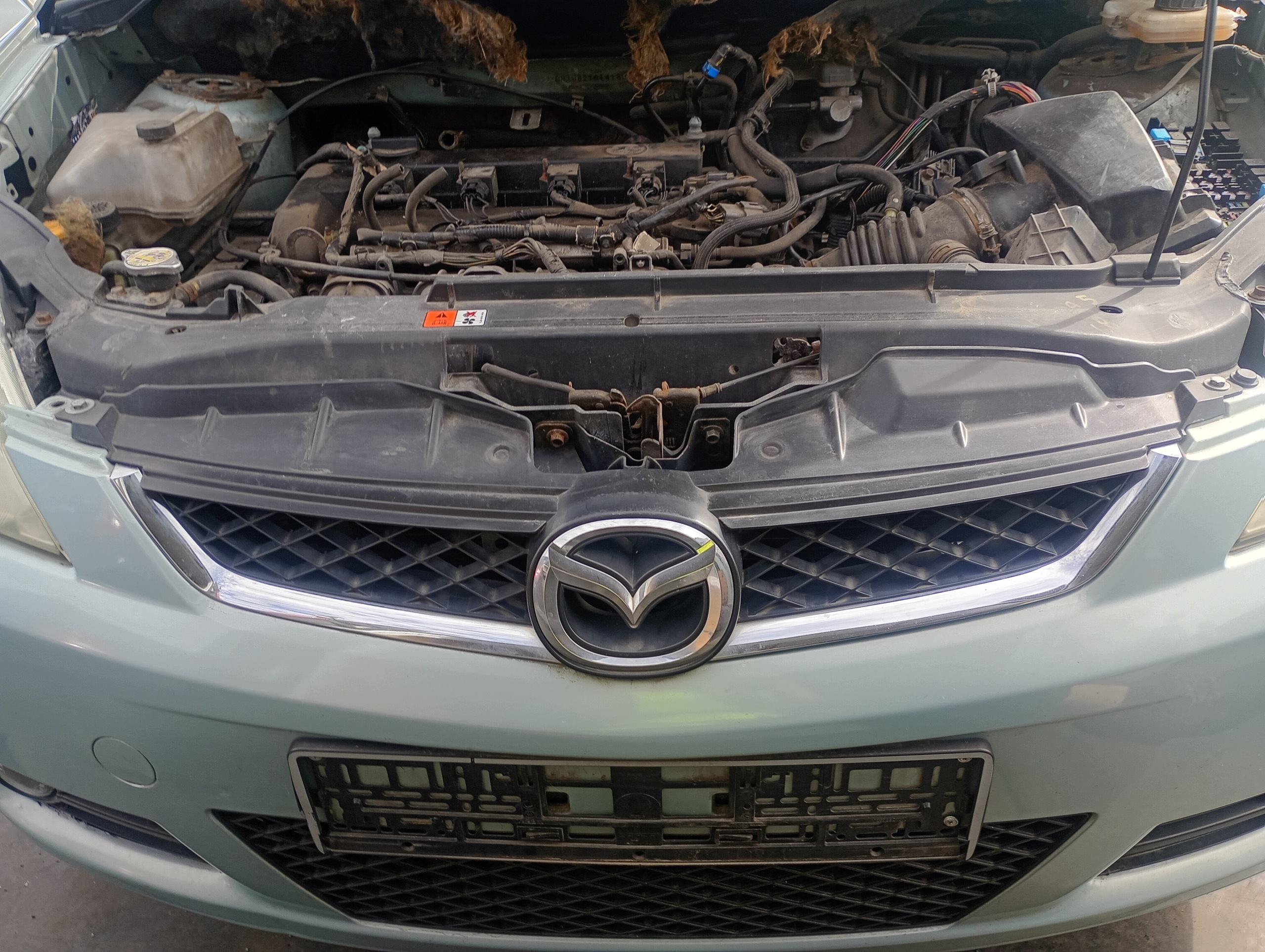 Grill Grill des Kühlers Mazda 5 V 05-10
