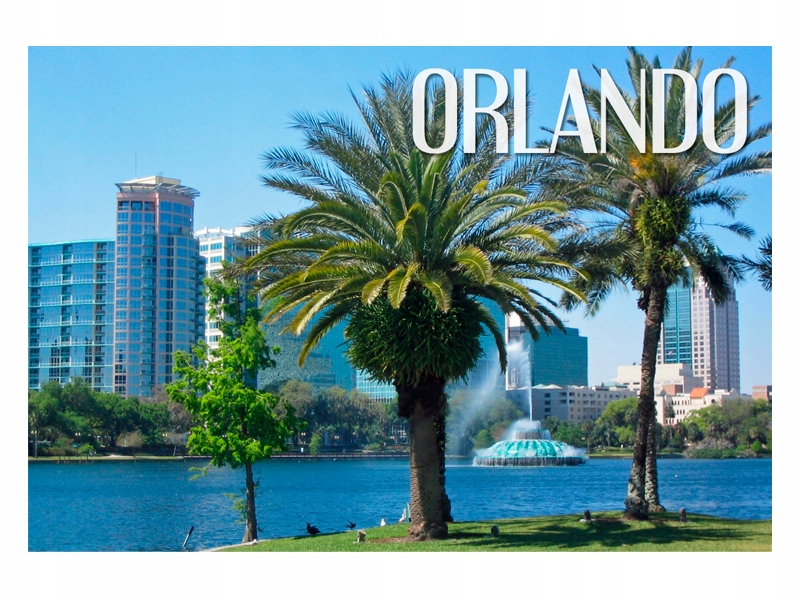 

Usa Orlando Floryda Magnes na lodówkę