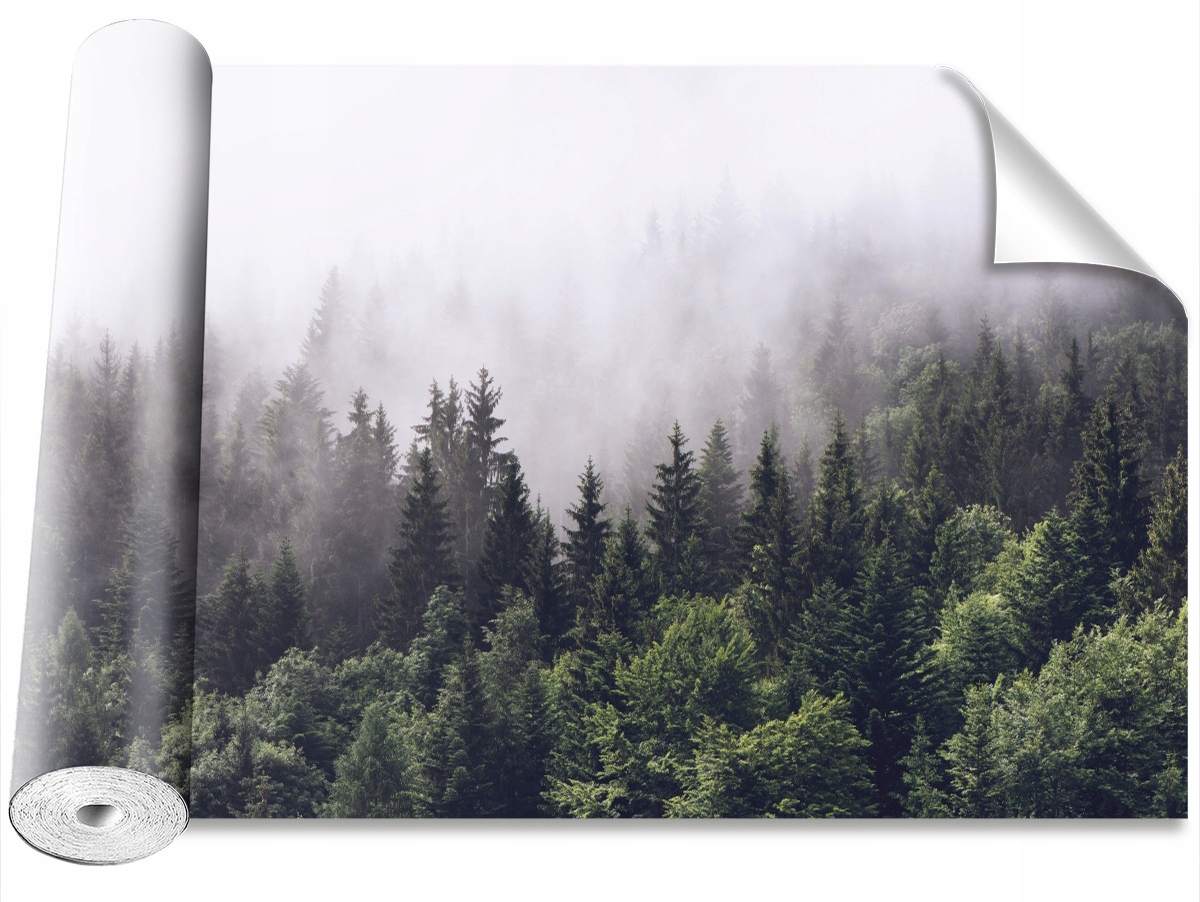 

Tapeta Samoprzylepna Góra Las 104x70