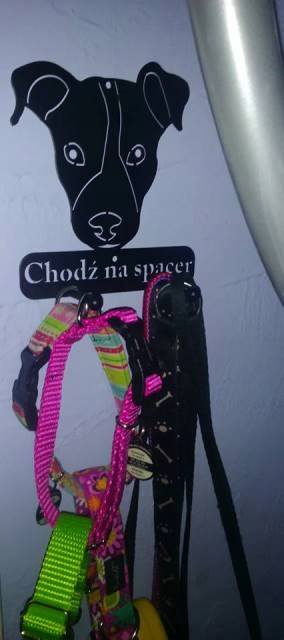 Wieszak na smycz klucze Pies Mops Pupil Liczba miejsc do wieszania 2