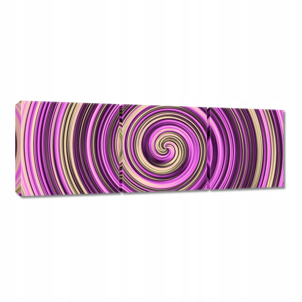 

Obrazy 120x40 Ślimak z fioletem