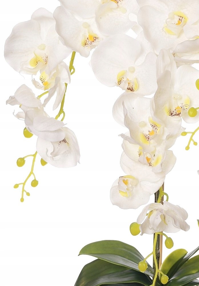 STORCZYK SILIKONOWY STORCZYKI SILIKONOWE SZTUCZNY Kod producenta R-58