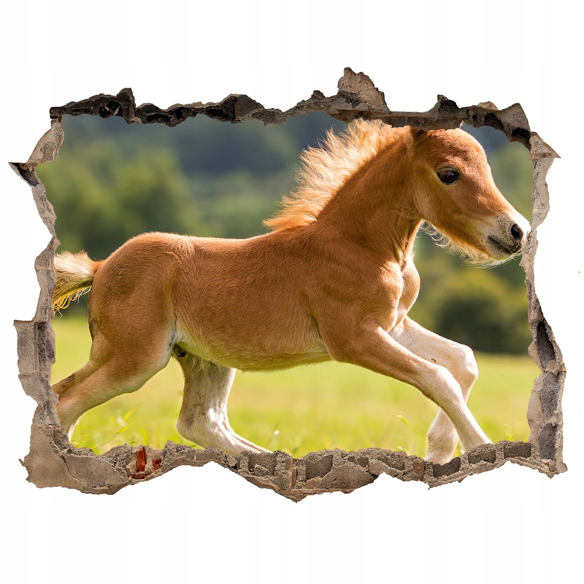

Dziura 3d fototapeta Naklejka Źrebię w galopie