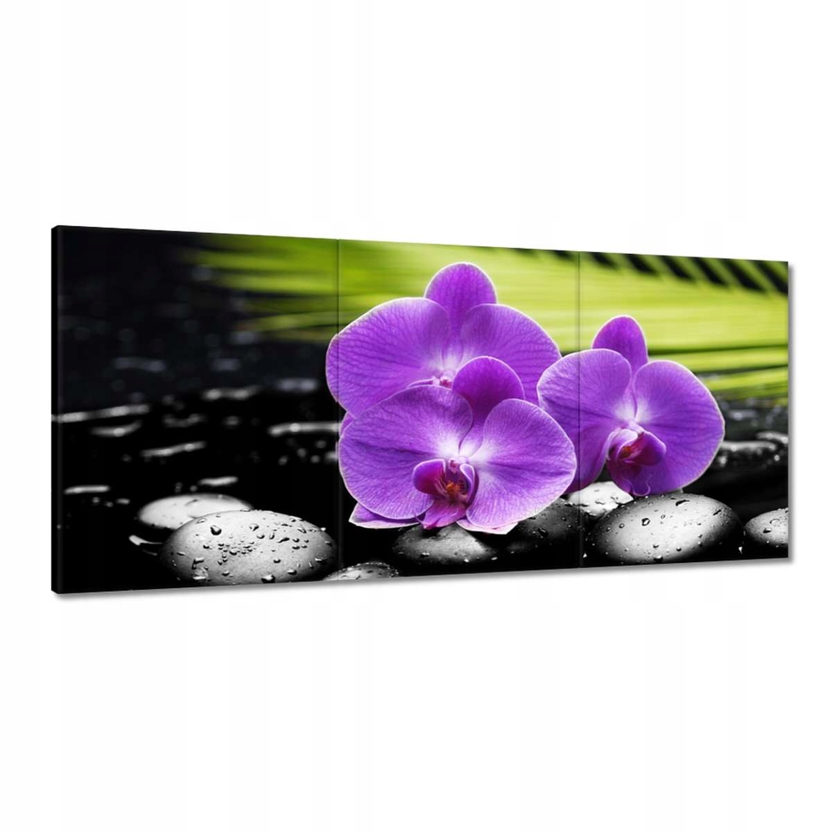 Obrazy 210x100 Fialové orchidey