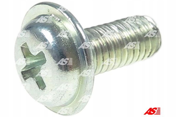 AS-PL ŚRUBY SZCZOTKOTRZYMACZY ROZRUSZNIKA