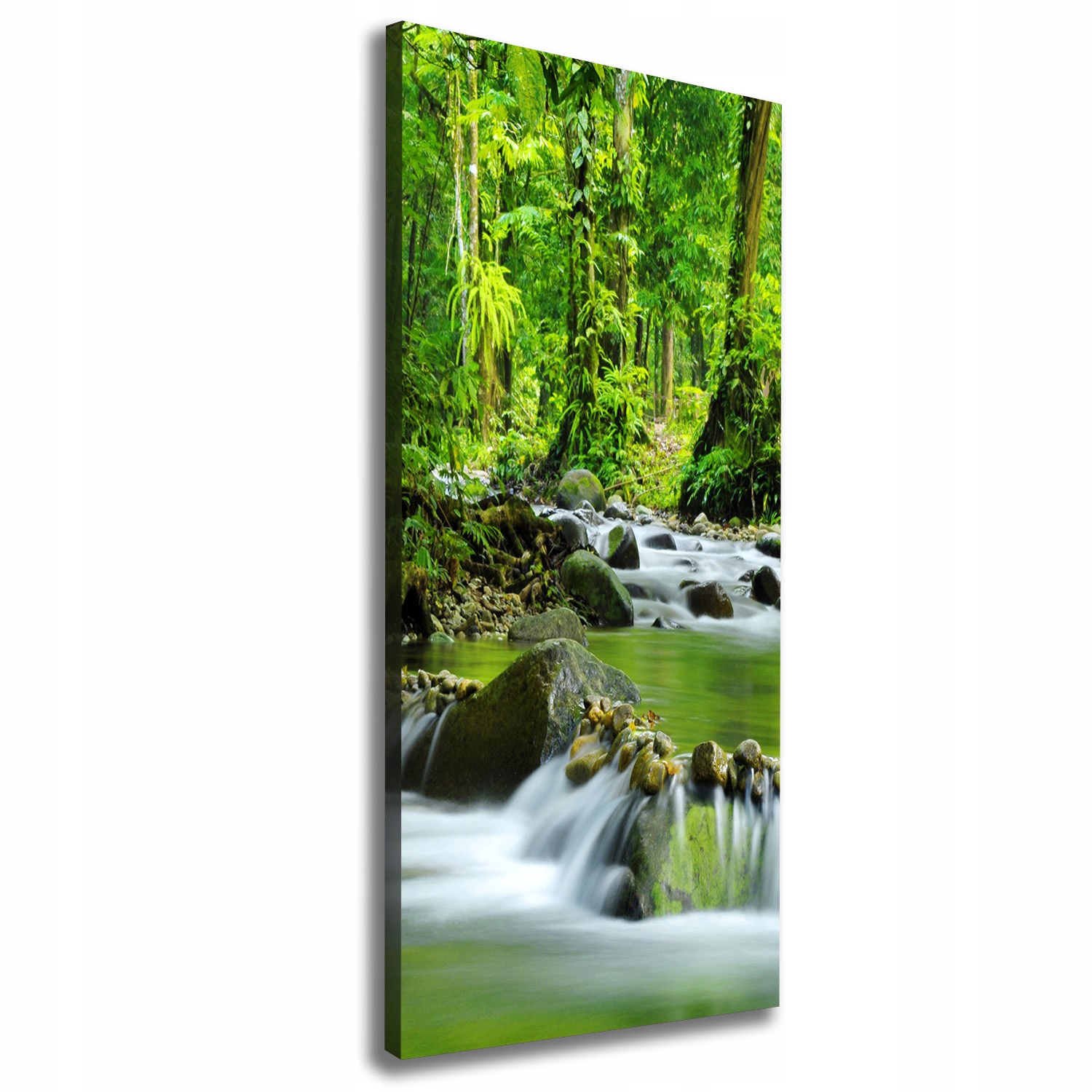 

Foto obraz canvas do salonu Potok górski 50x125