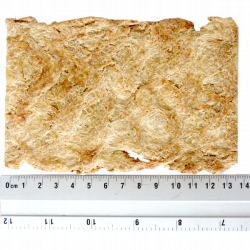 Sójové kotlety Big Steak 9 x 13 cm sáček 5 kg