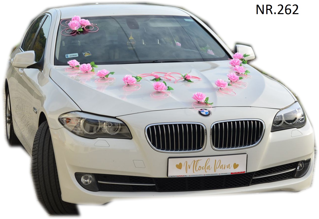 První Jakost Dekorace na auto ozdoby 262