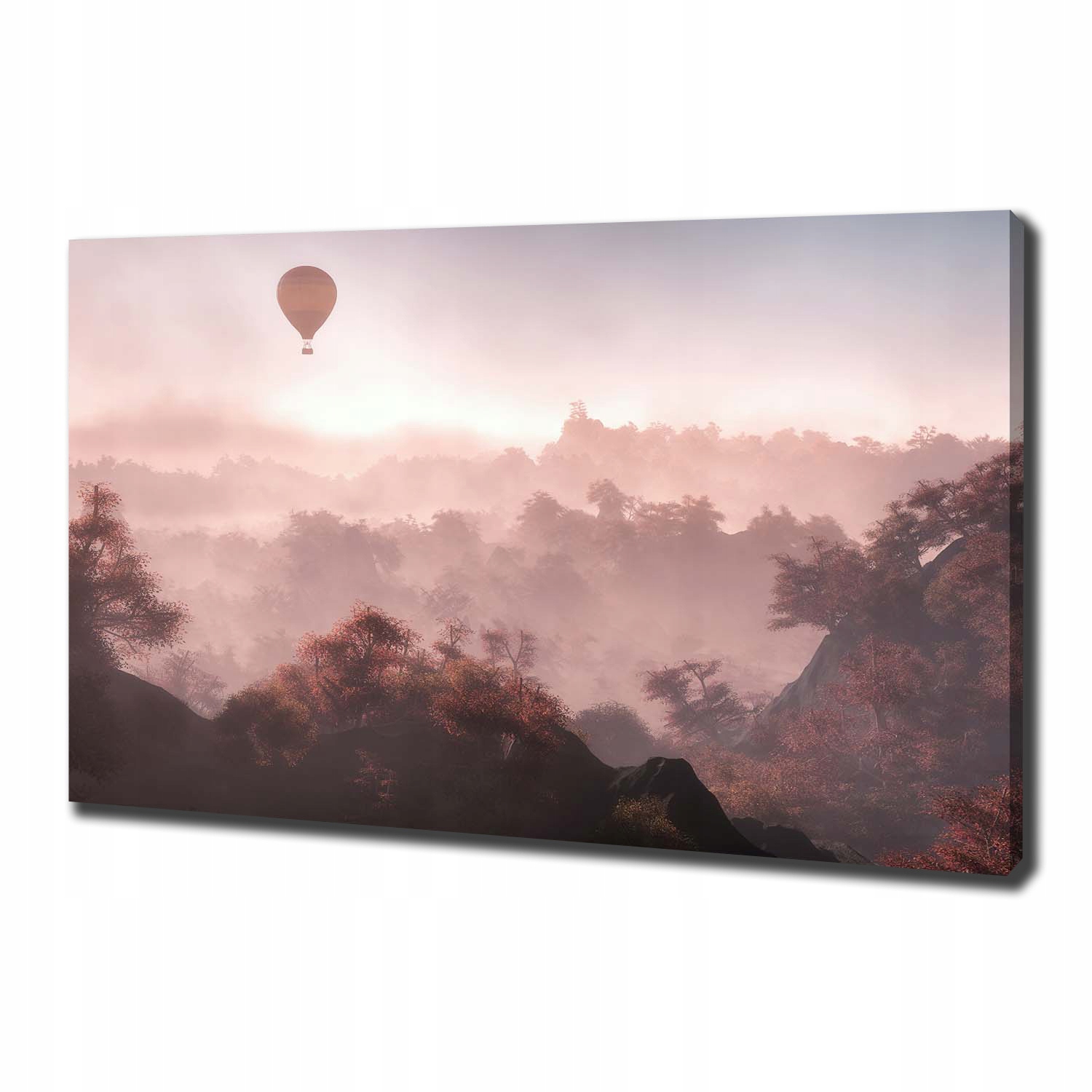 

Foto obraz na płótnie Balon nad lasem 100x70 cm