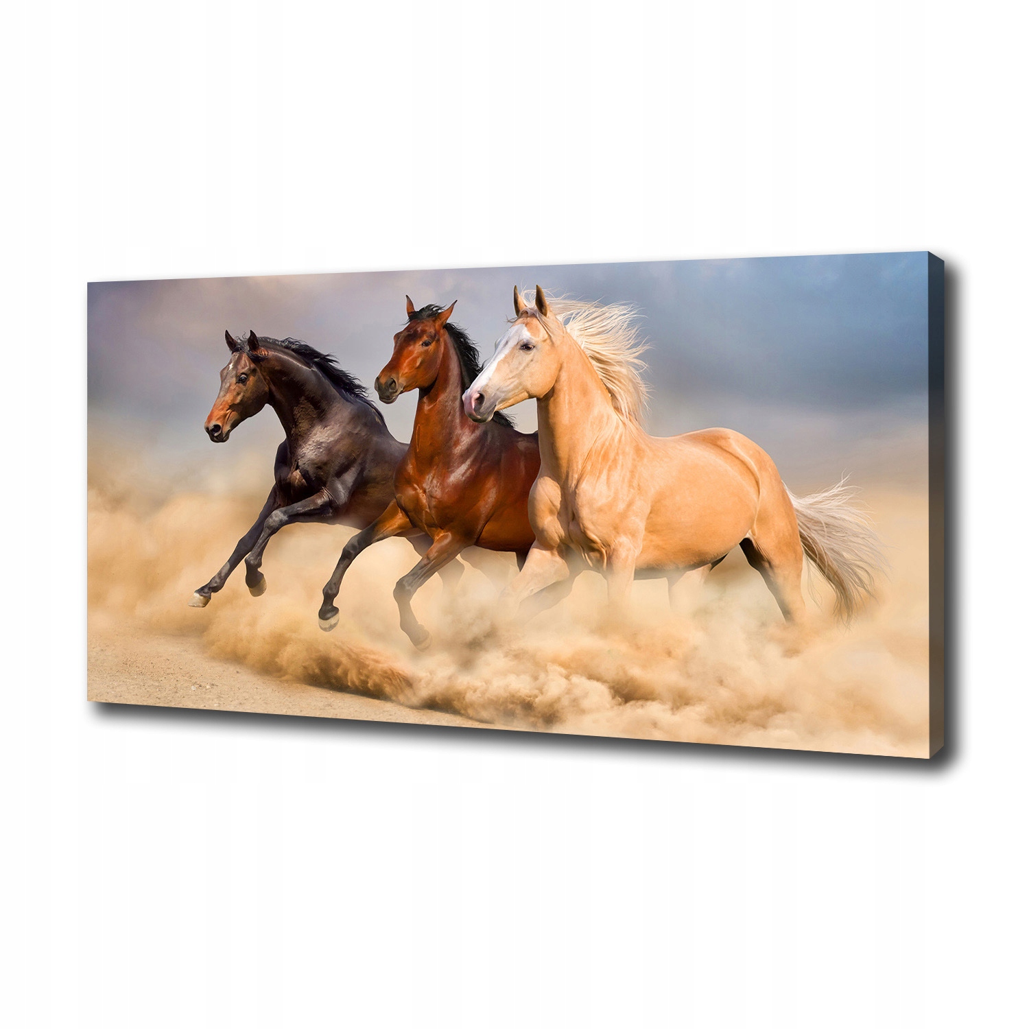Obraz na plátně foto Cválající koně 120x60 cm