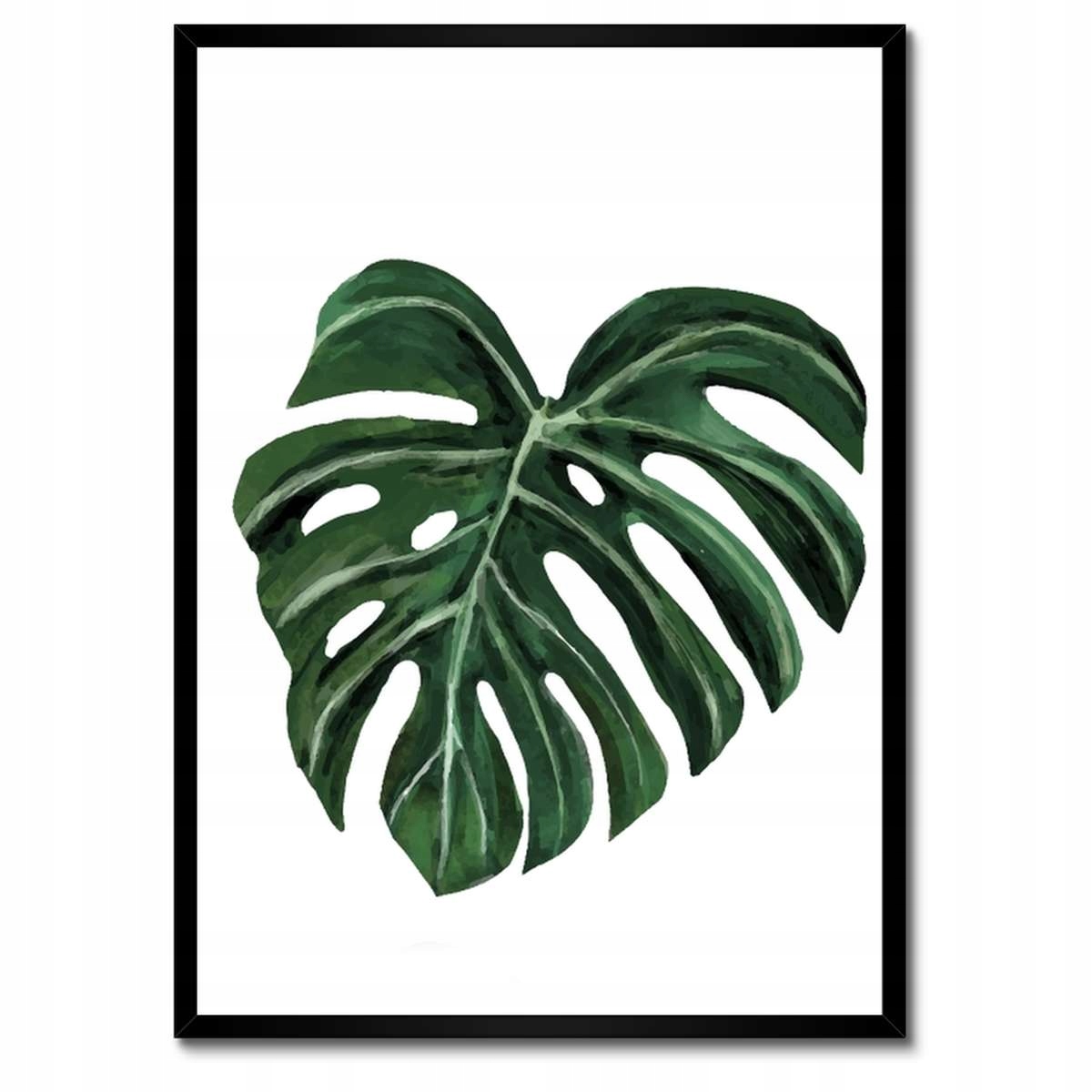 Plakáty v rámu 50x70 Monstera deliciosa List