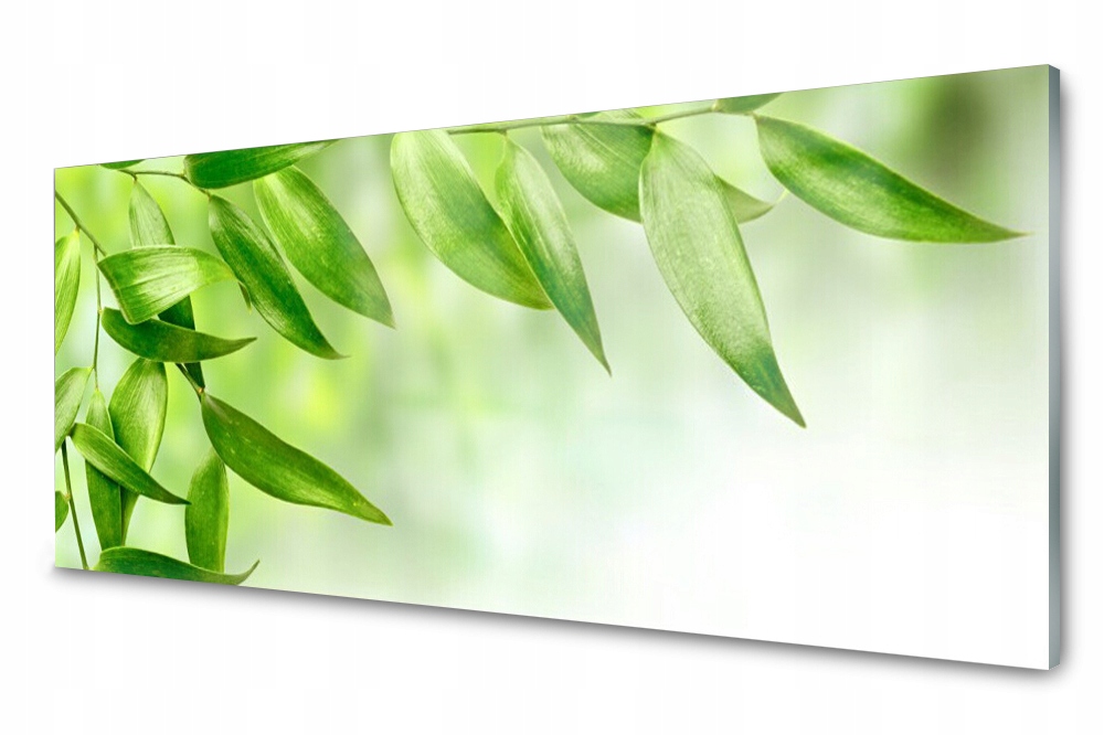 

Panel szklany do kuchni Zielone Liście 125x50