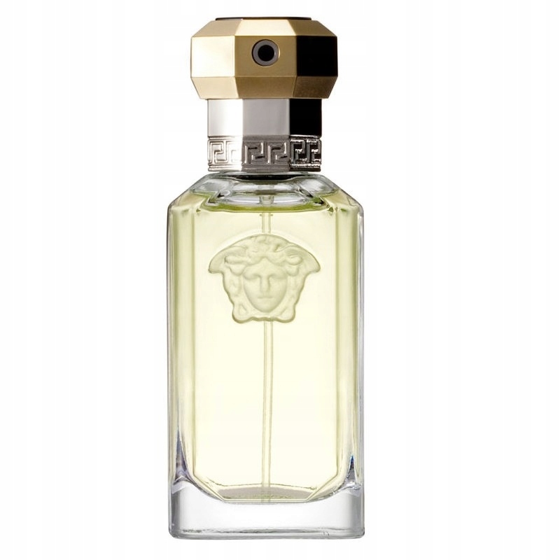 Pánská toaletní voda s aromatickou dřevitou vůní The Dreamer Spray 50 ml