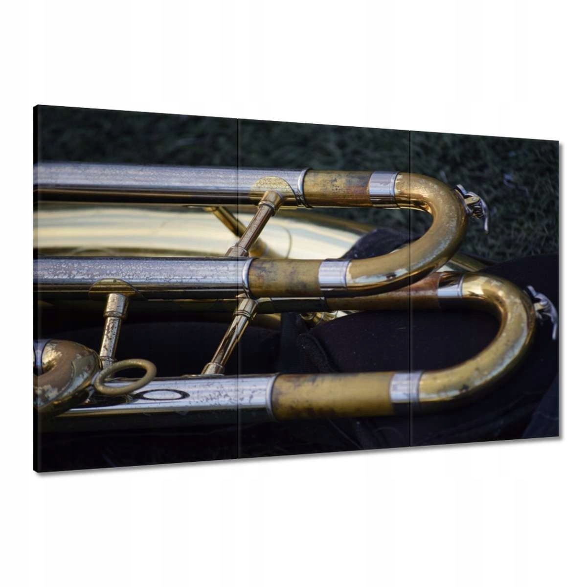 Obrazy 120x80 Trubka