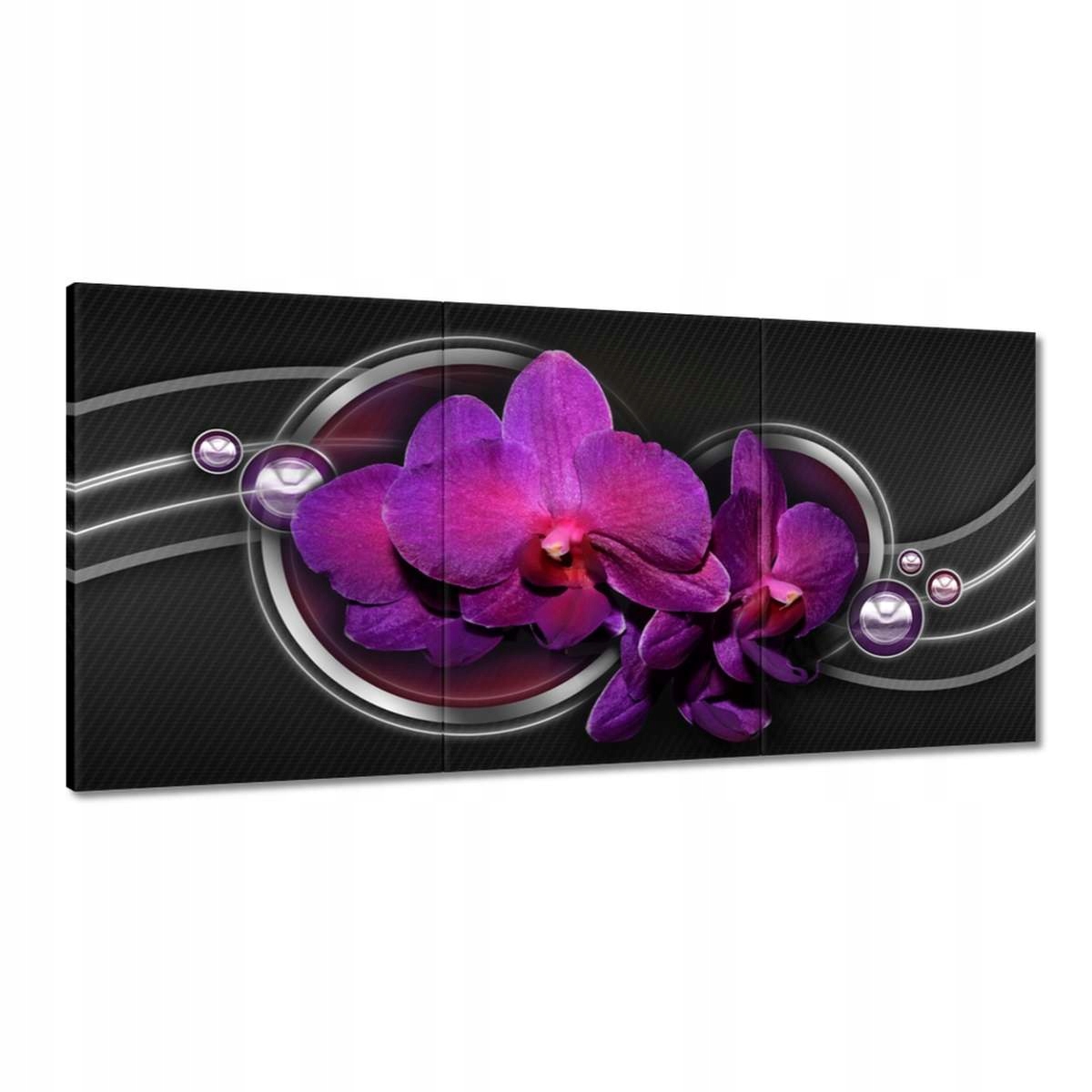 Obrazy 180x90 Fialový oleander