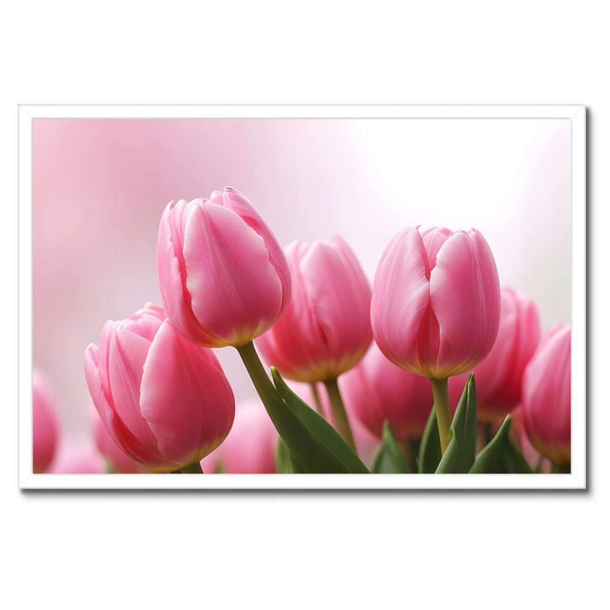 Plakáty v rámu 60x40 Růžové tulipány