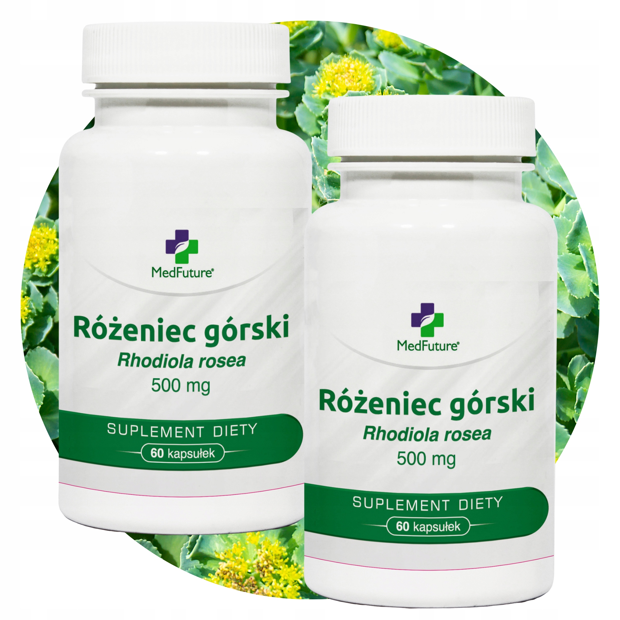 Różeniec Górski Rhodiola Rosea Silny ekstrakt z korzenia rozawiny Zestaw