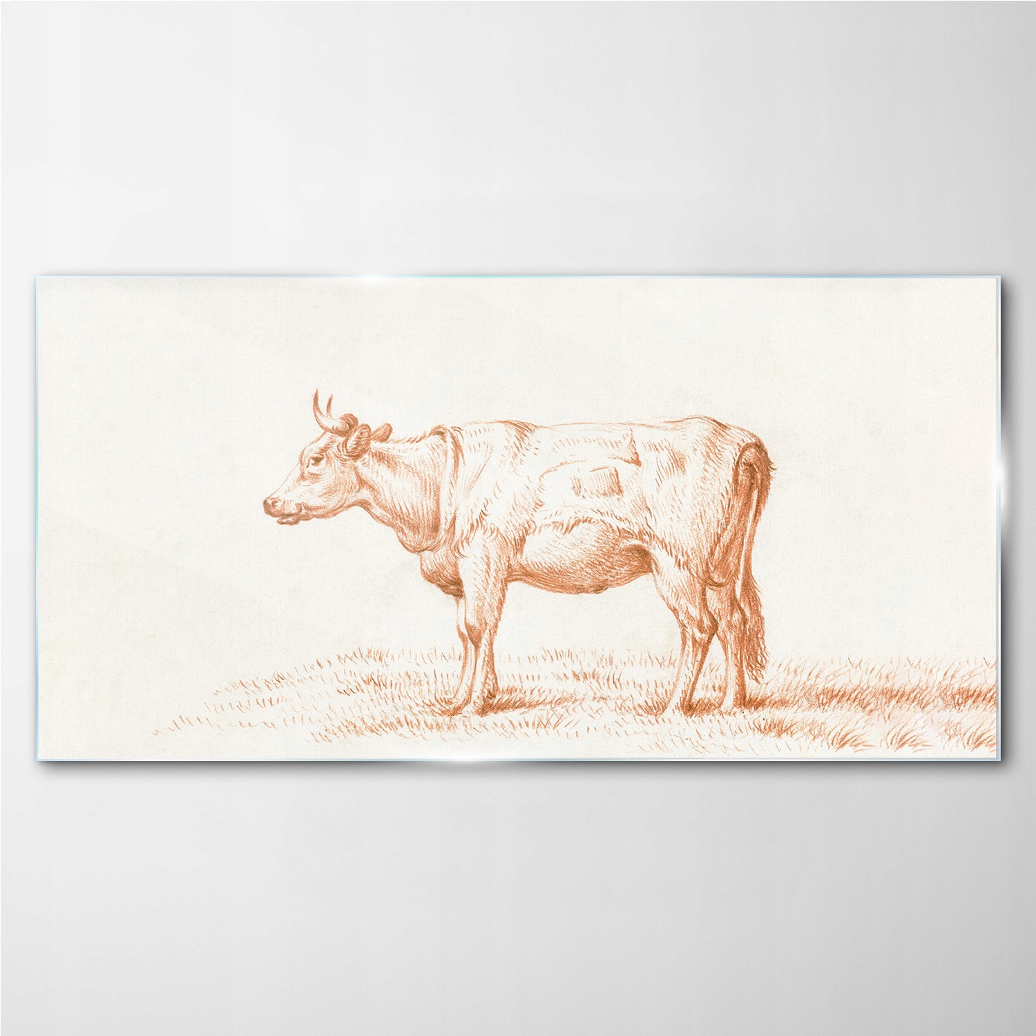 

Obraz szklany z nadrukiem Zwierzę krowa 140x70 cm