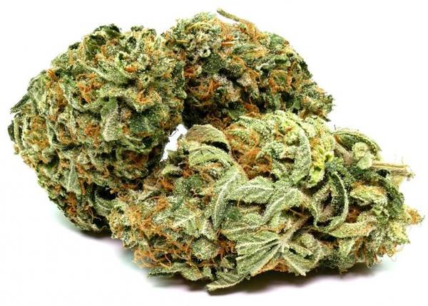 Купить марихуану в сумах гриффины наркотики