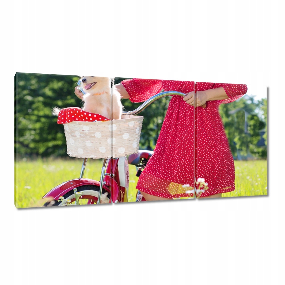 

Obrazy 120x60 Rowery Rowerki Dwa Kółka