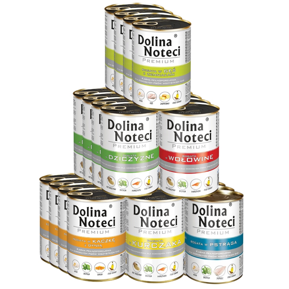 Dolina Noteci Premium MIX Smaków 24x400g