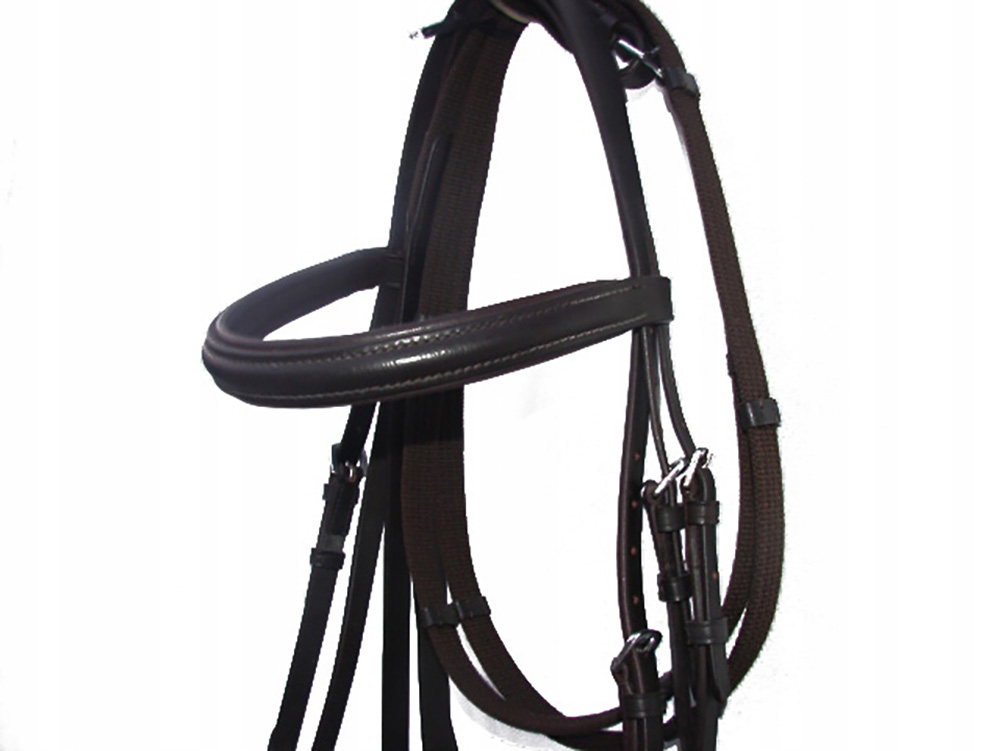 Ogłowie York livia II angielski 3 (full)