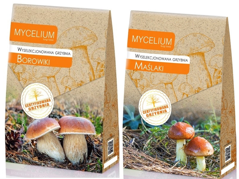 Levně Podhoubí Borowiki Maślaki sada 2 kusů