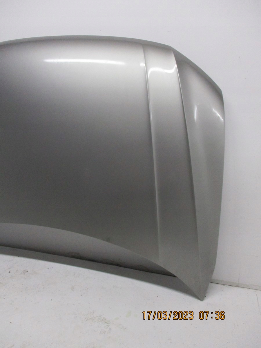 bonnet VW TIGUAN 5NA