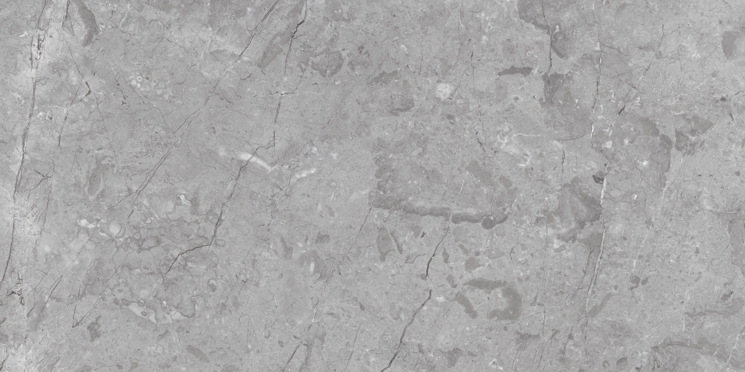 PŁYTKI TARASOWE SZARY GRES KAMIEŃ ROYAL MARCUS GRACIA 60X120 MAT Typ gres