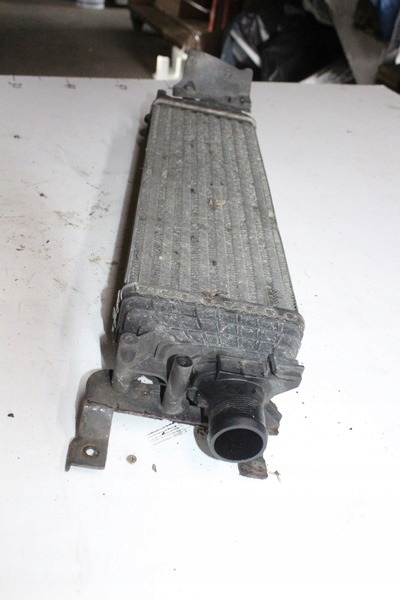 intercooler FORD FOCUS 1M5Q9L440BA