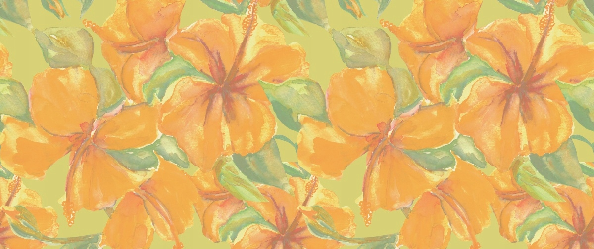 

Fototapeta Flizelinowa Żółty hibiskus 250x104