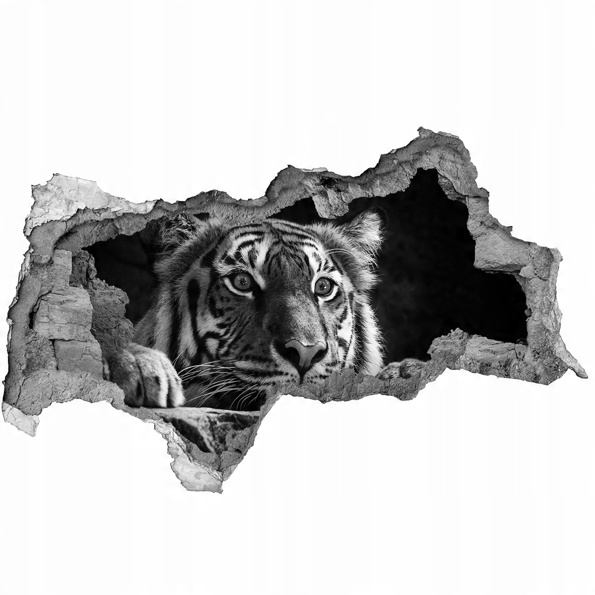 

Dziura 3d fototapeta okleina ścienna Tygrys 115x88
