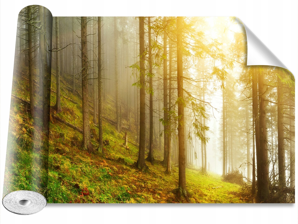 

Tapeta Samoprzylepna MagicStick Las 208x146
