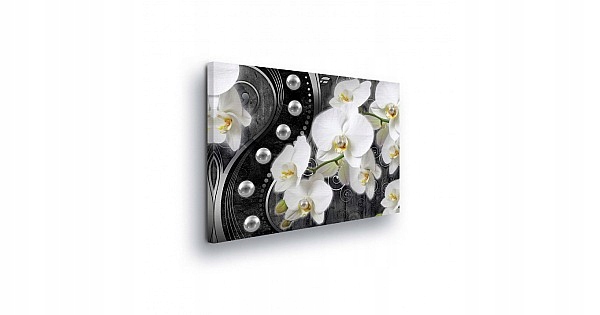 Obraz 100x75 Bílé orchideje abstrakce modernost elegance minimalismus