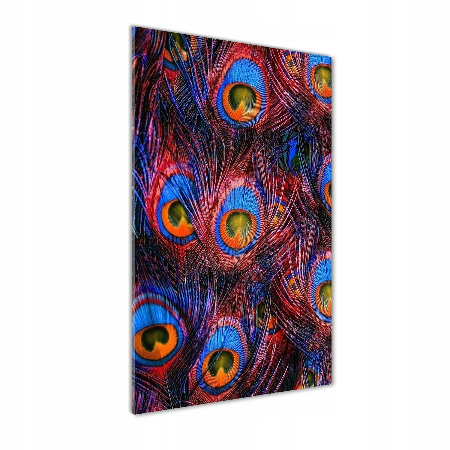 

Nowoczesny fotoobraz akrylowy Pawie pióra 50x100cm
