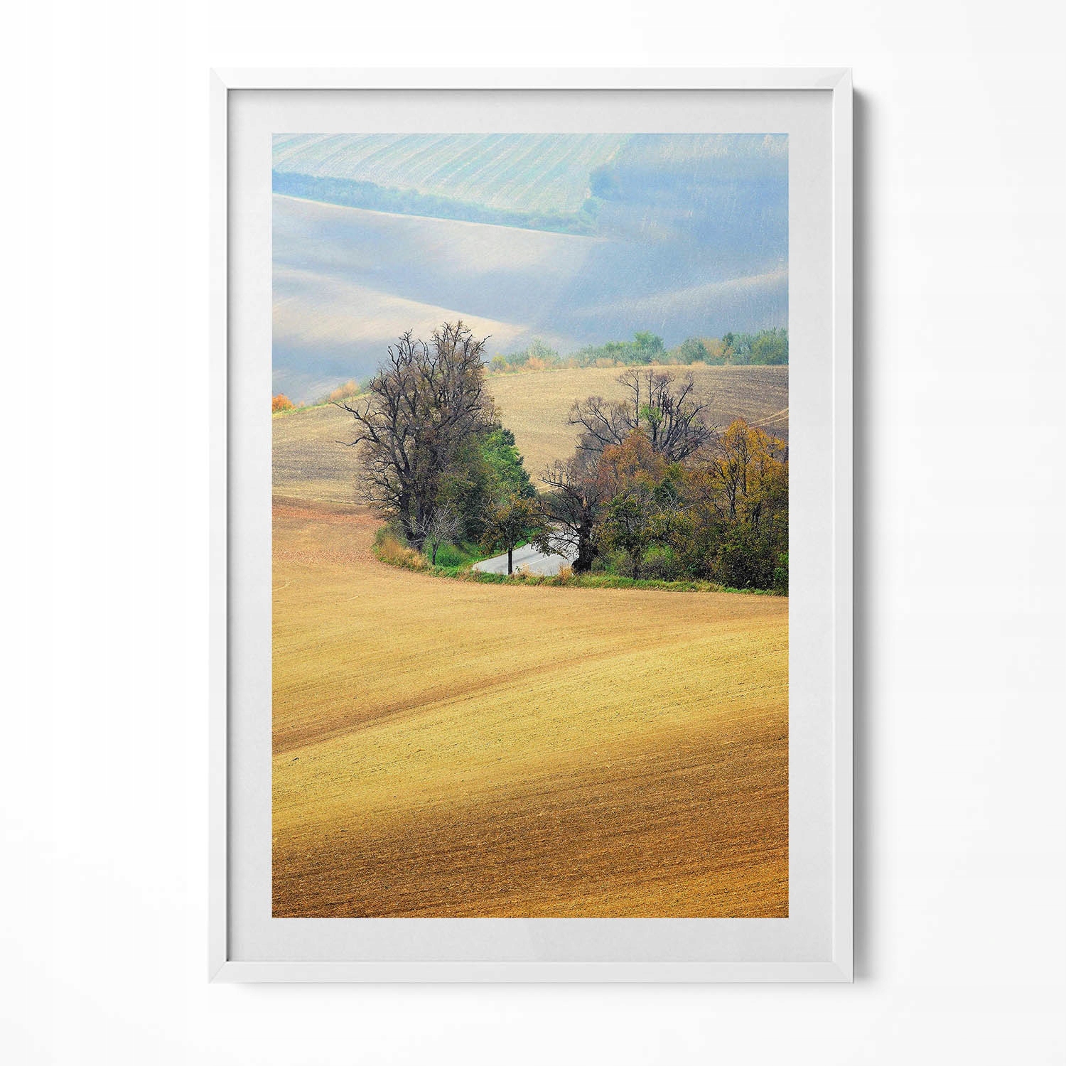 Obraz v bílém rámu, dekorace na zeď Morava, venkovská krajina 70x100 cm