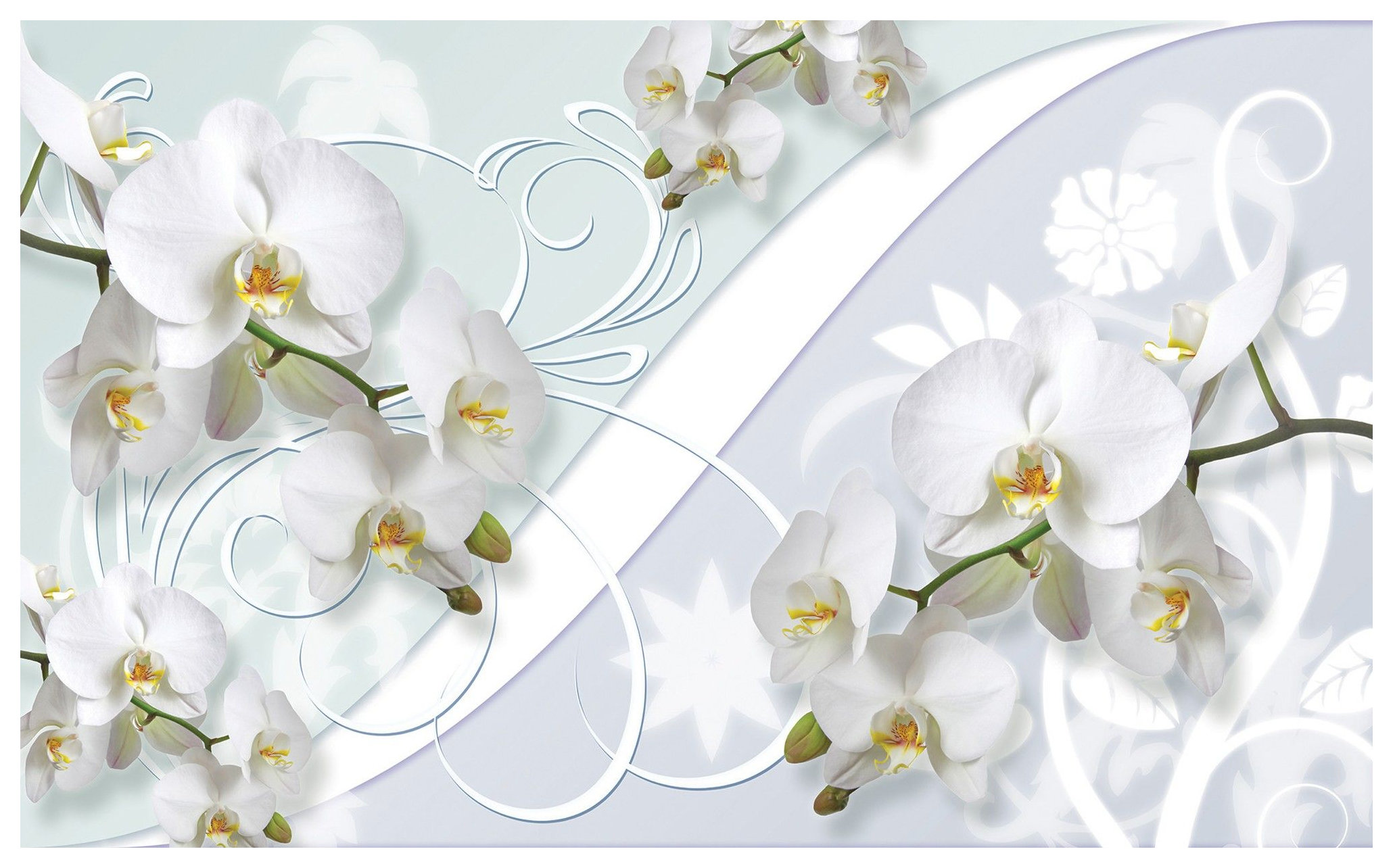 Vliesová fototapeta Orchideje Bílé Květiny Elegance Přírody 350x250 lepidlo