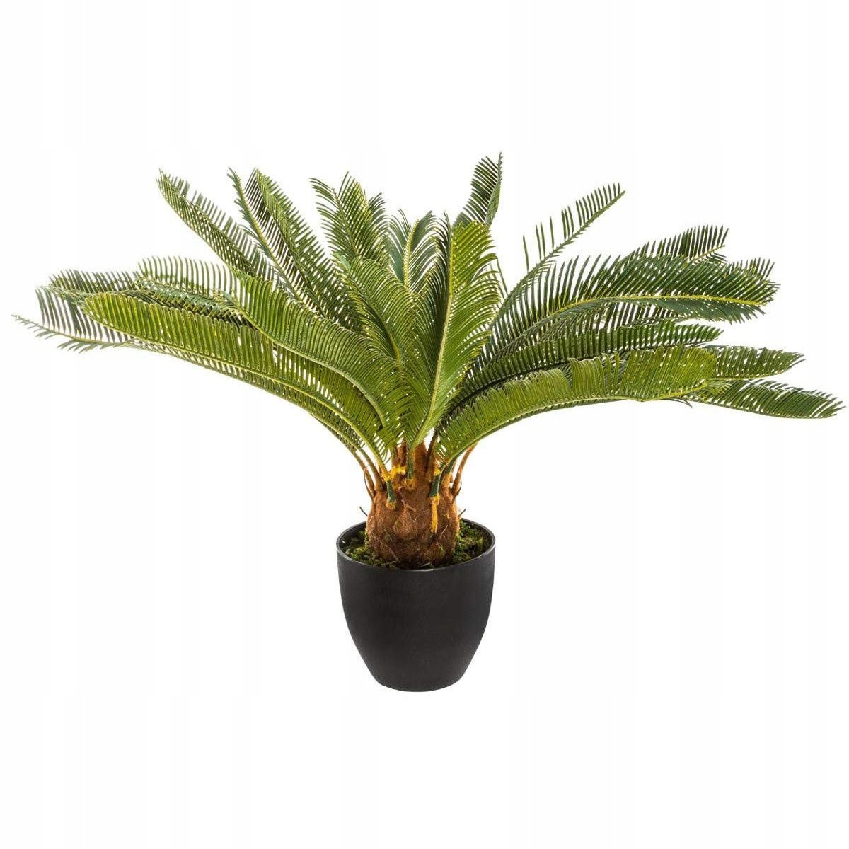 Umělá rostlina v květináči Palma Cykas, sag tree, 72 cm