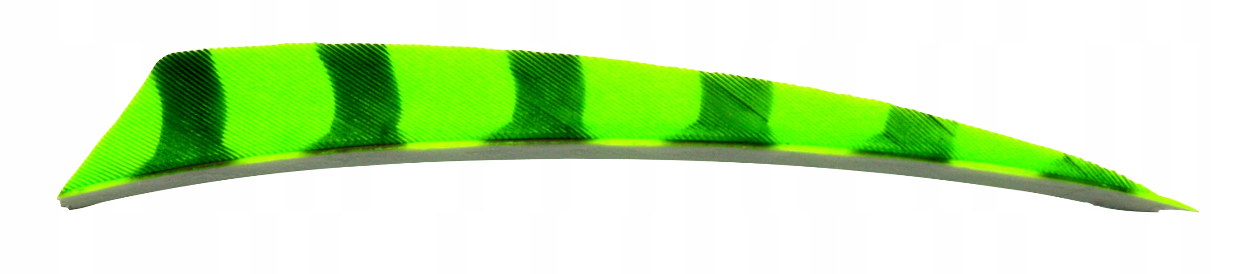 Lotki indycze Shield 4" Barred