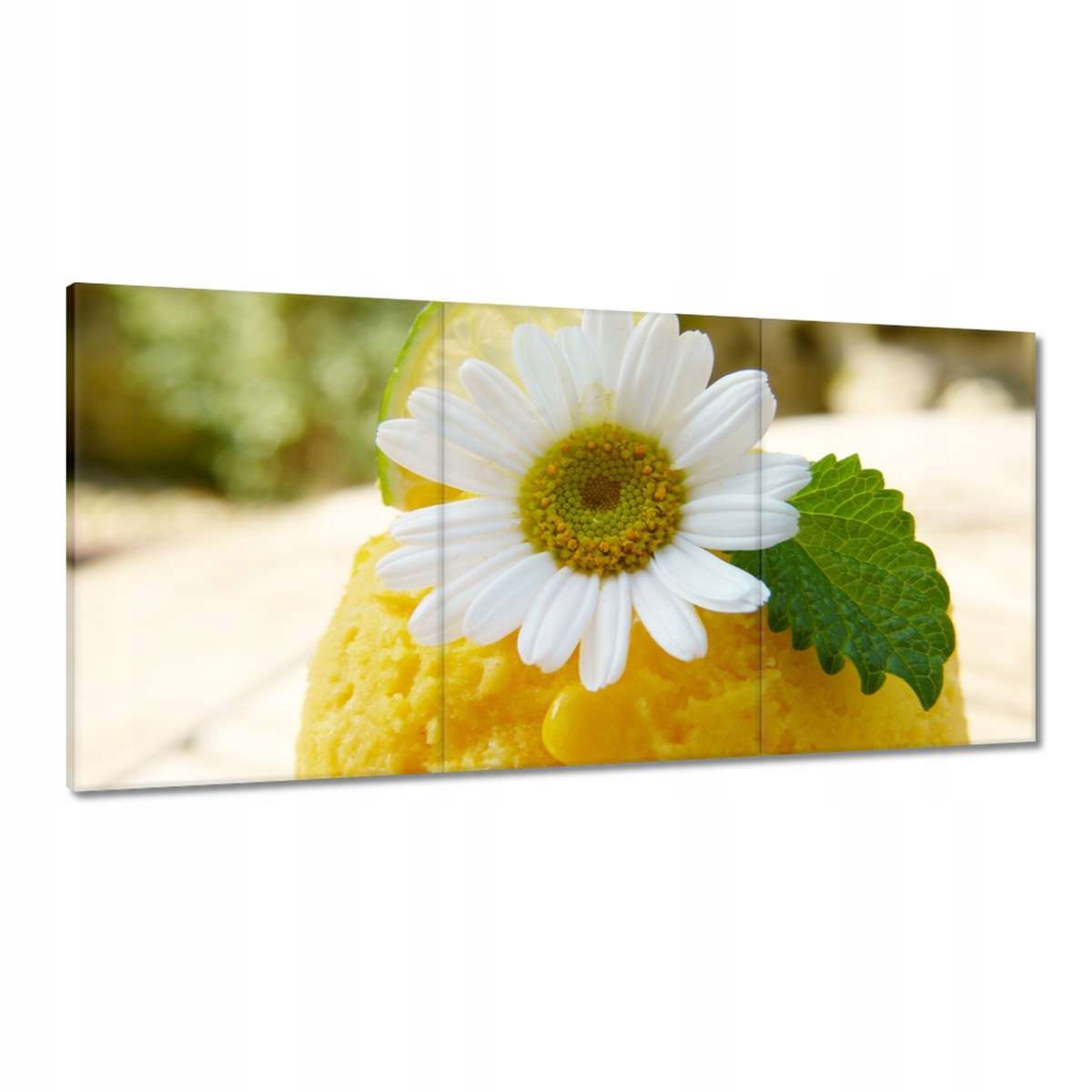 Obrazy 180x90 Ovocná marhuľová zmrzlina