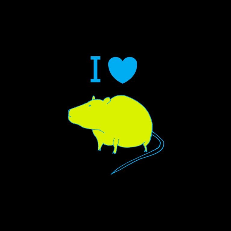 

Damska Szczury Na Koszulce Szczur Wzory s5a