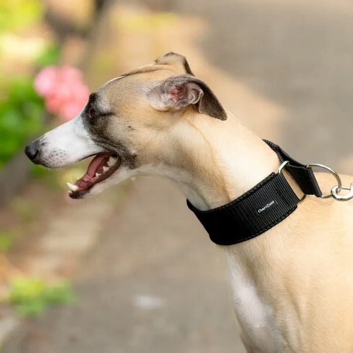 Levně Polostahovací obojek Comfort Mesh 4 cm