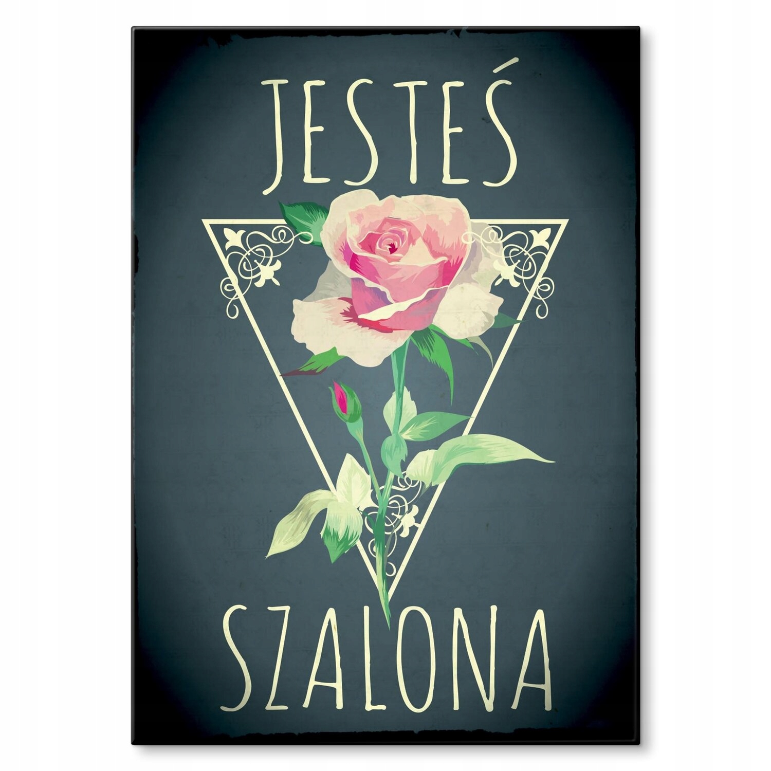 Kovový plakát Jsi šílená Dárek 42 x 59 cm