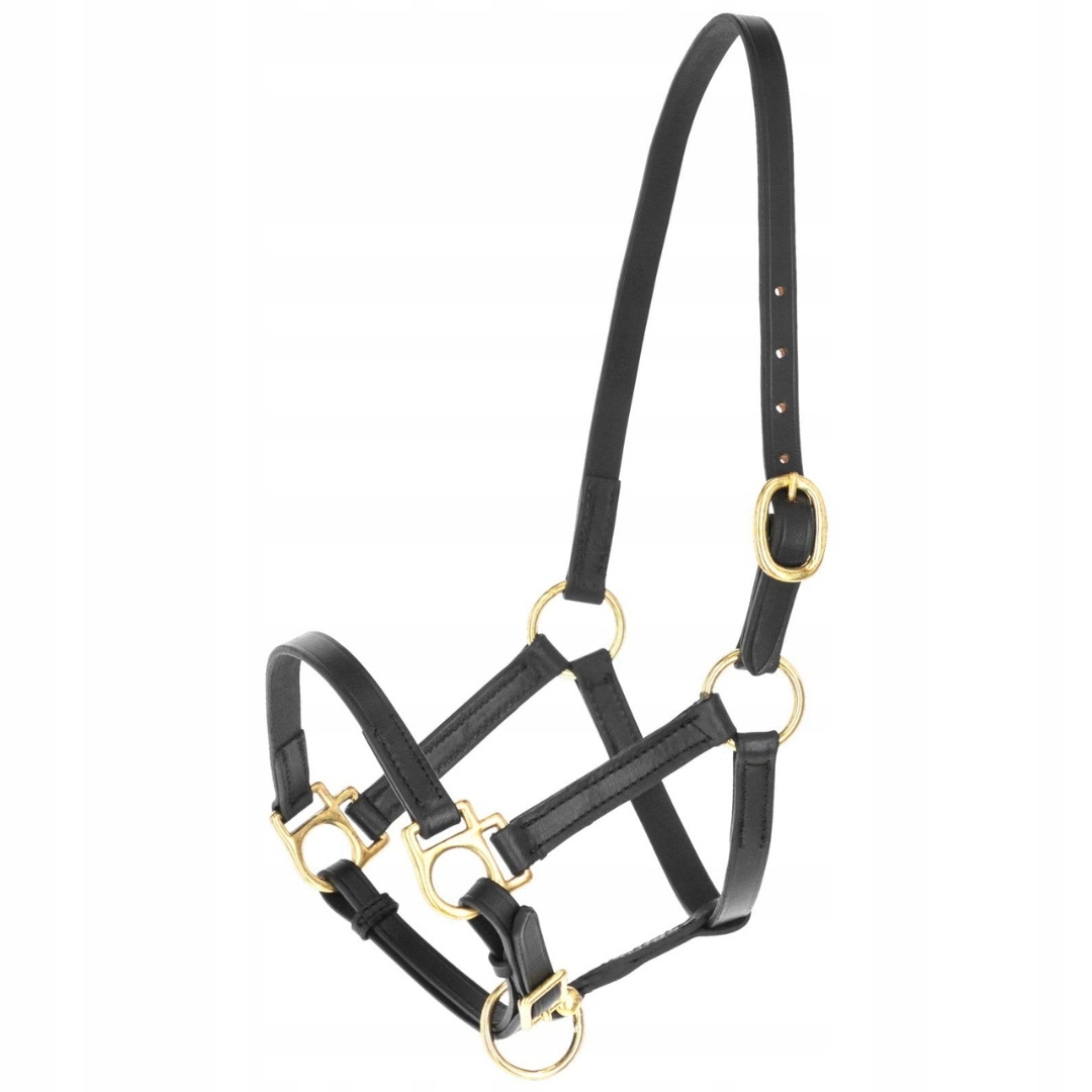 Uzda pro koně Eco kožený černý Covalliero XFull