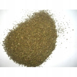 Levně Máta Pińczowska 1 kg Rafex