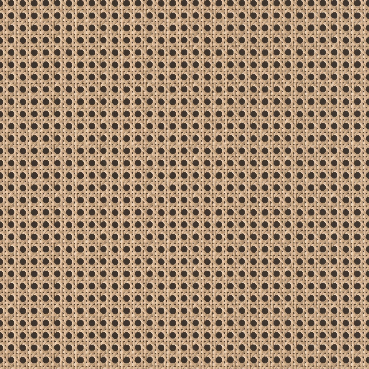 Tapeta na zeď Symphony 693300 Rasch za 545.00CZK - Allegro